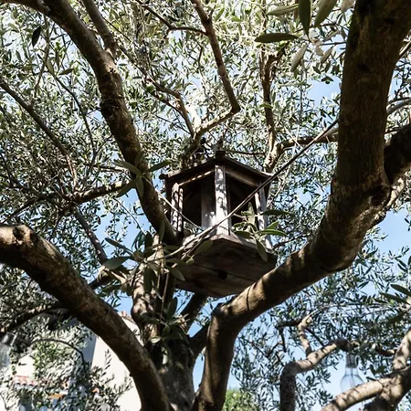 La Maison De Jade &